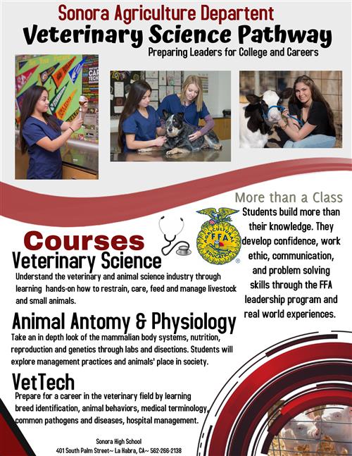 VET 