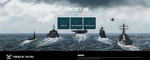 navy 