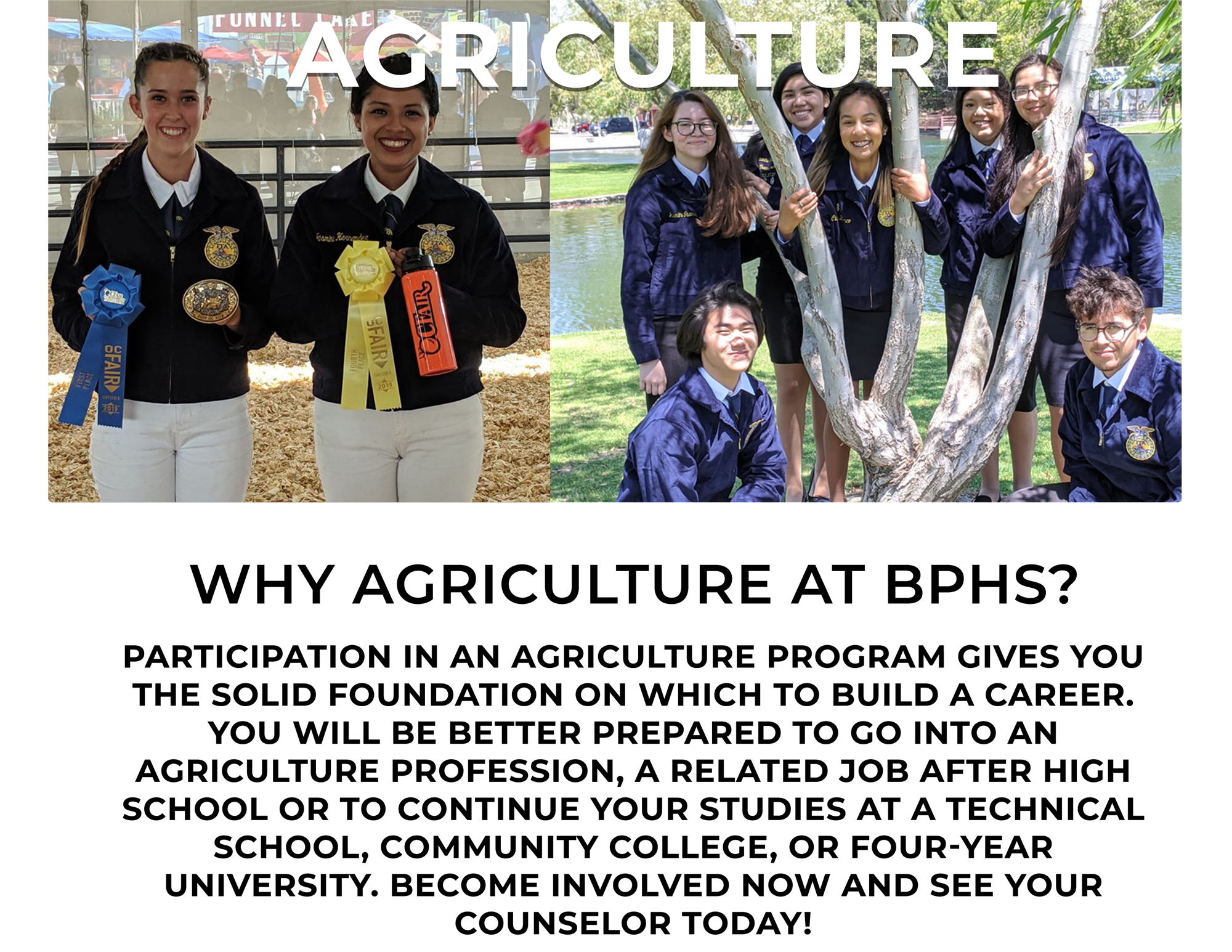 AGRICULTURE 
