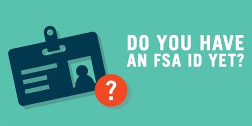 FSA ID